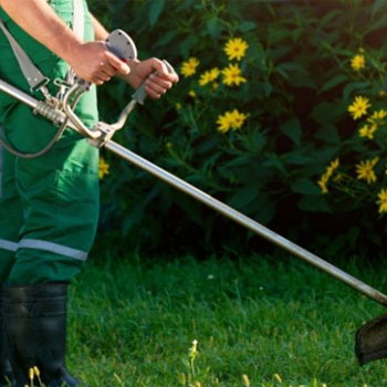 Piden que el municipio otorgue permisos particulares para desmalezar y fumigar por el dengue