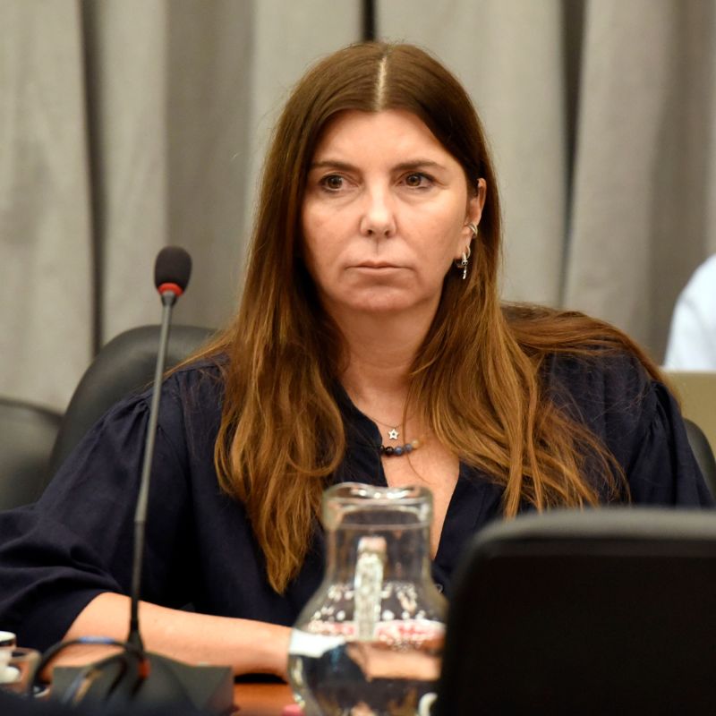 Diputados de Juntos por el Cambio pidieron que se actualicen las escalas del monotributo