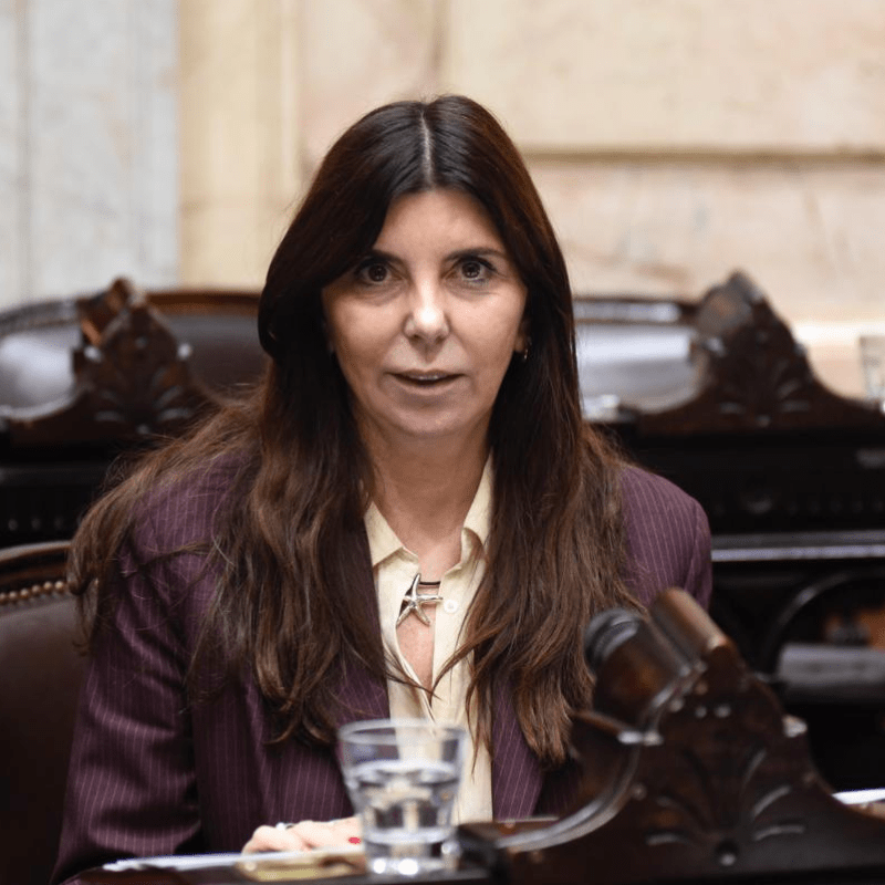 La sesión “responde más a una intencionalidad que a una política pública sostenible”