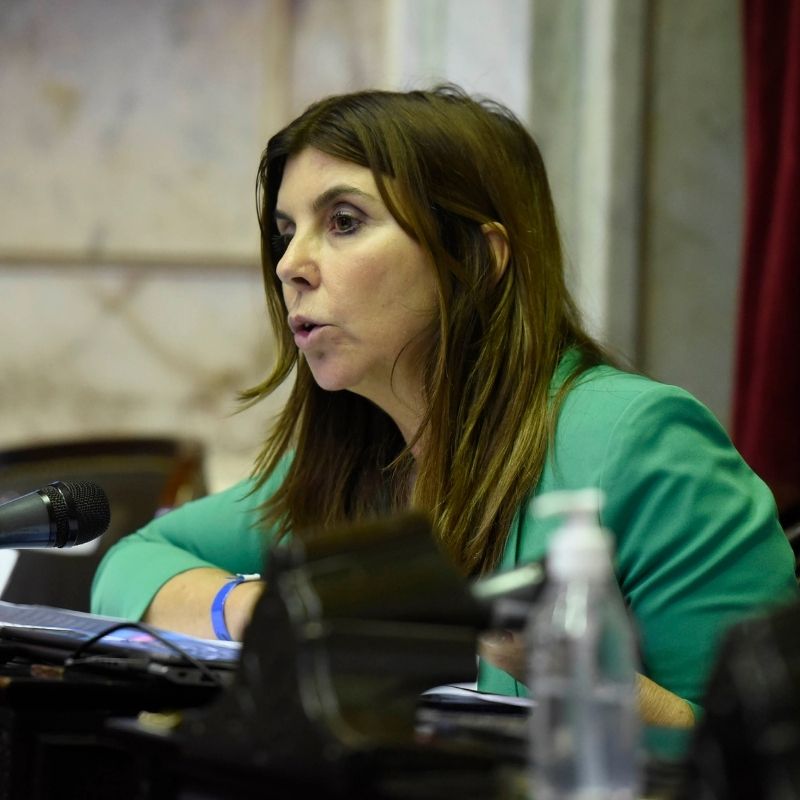 Tras los nuevos focos de incendio en el Delta del Río Paraná, Germana Figueroa Casas pregunta sobre el uso de los fondos para el manejo del fuego