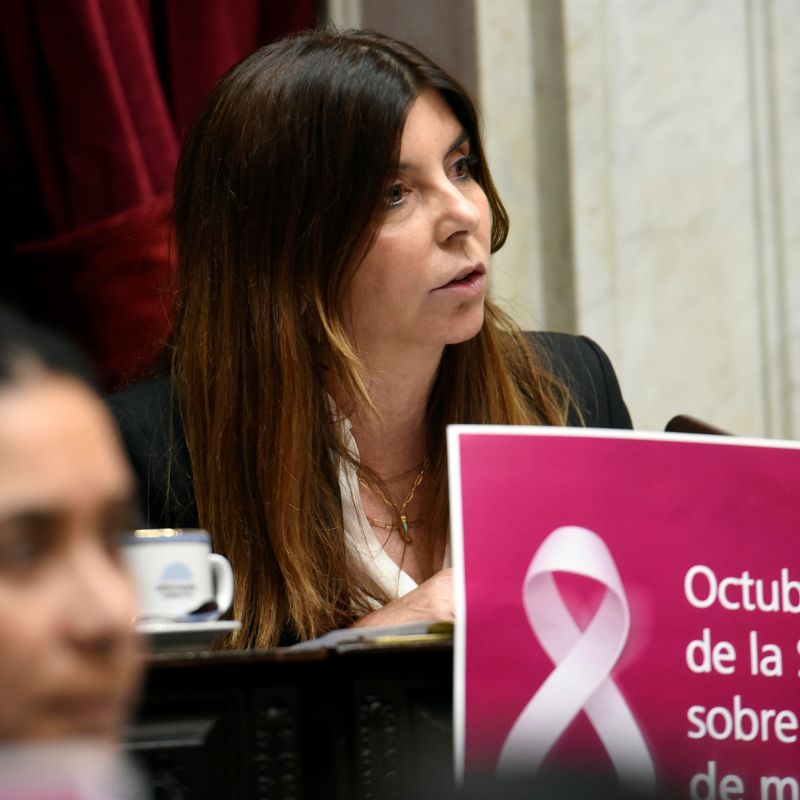 A causa de la inseguridad en Rosario, Germana Figueroa Casas presentó una cuestión de privilegio