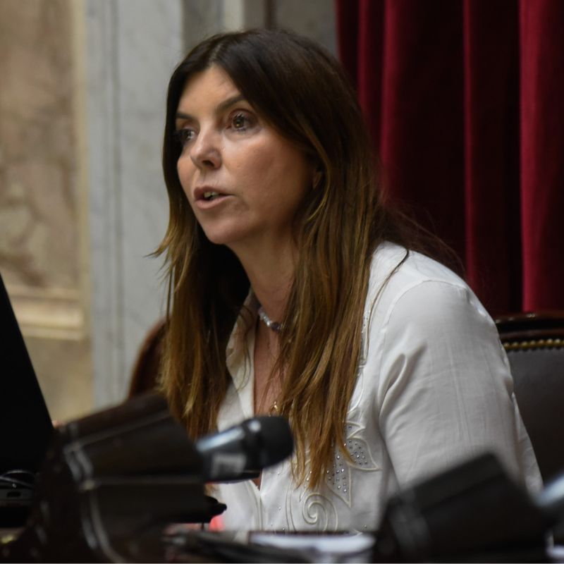 Diputados de Juntos por el Cambio presentaron un proyecto para que se derogue el nuevo impuesto a los pasajes aéreos